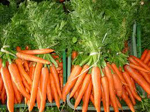 Zanahorias