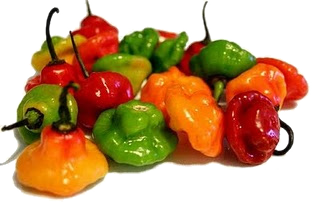 Betacarotenos