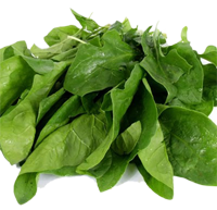 Espinacas