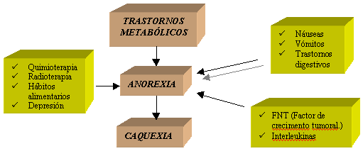 Cambios metabólicos en el cancer