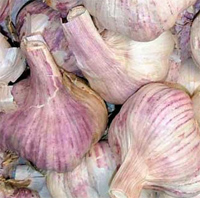 Alimentos de origen vegetal