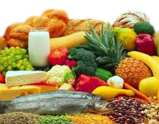 Requerimientos nutricionales