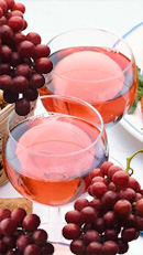 Alimentos de origen vegetal