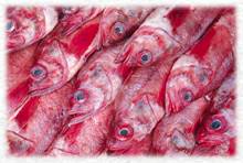 PEscado