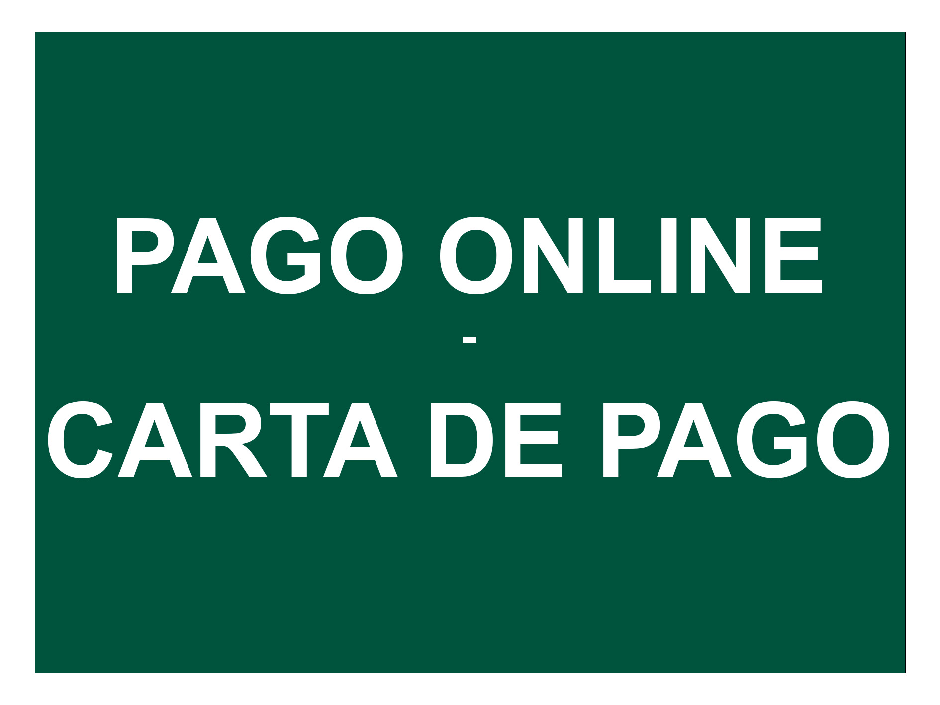 Vídeo Píldora sobre el pago online y la generación de la carta de pago.